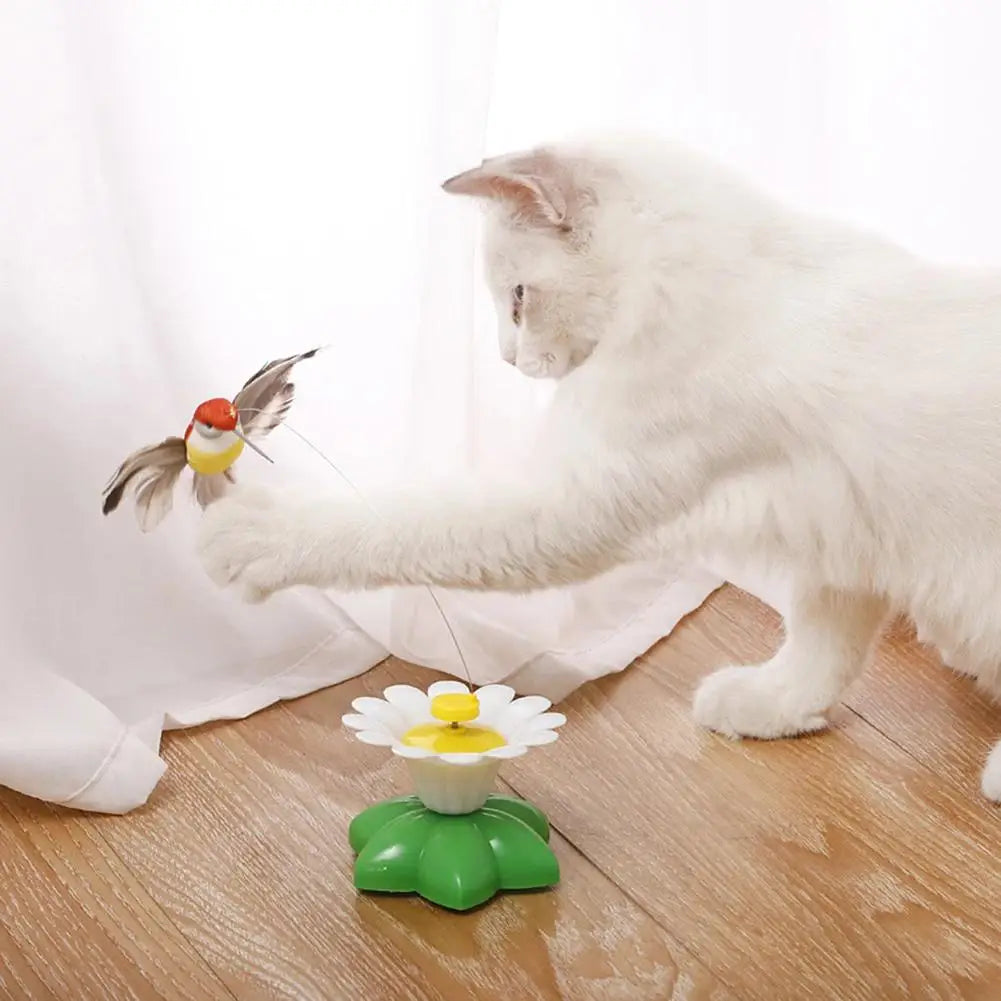 Kattenspeeltjes Action met geluid β Stimuleert zintuigen