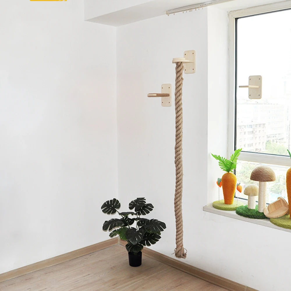 Krabpaal voor zware katten – Extra stabiel en groot