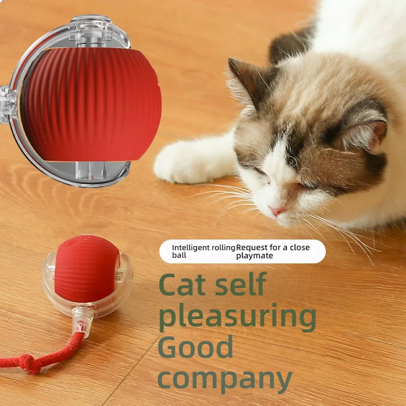 Kattenspeelgoed in de vorm van vlinder – Voor jachtinstinct