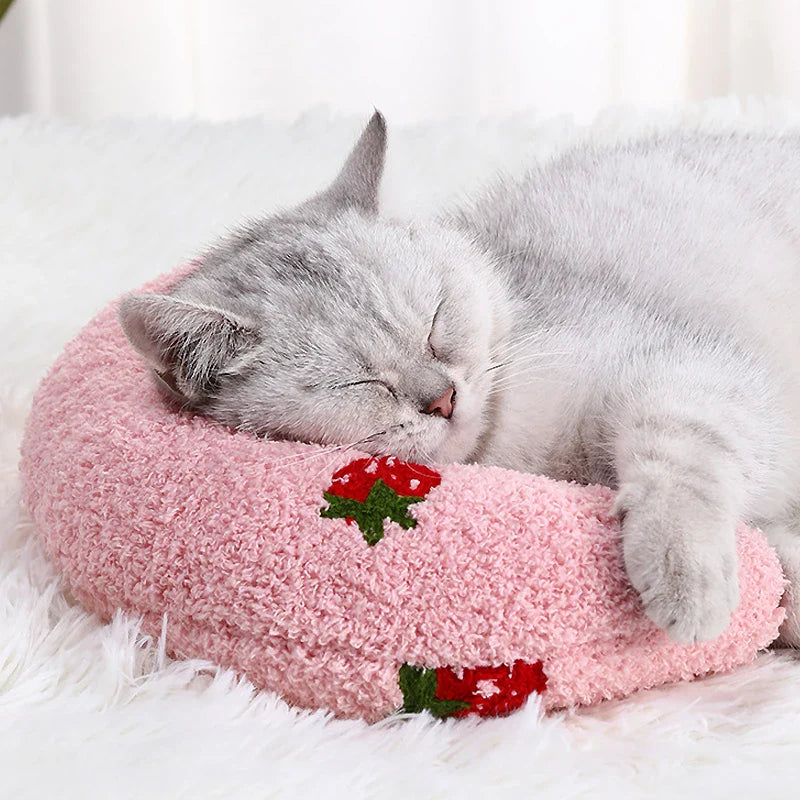Kattenspeeltje met veerstaart – Onweerstaanbaar