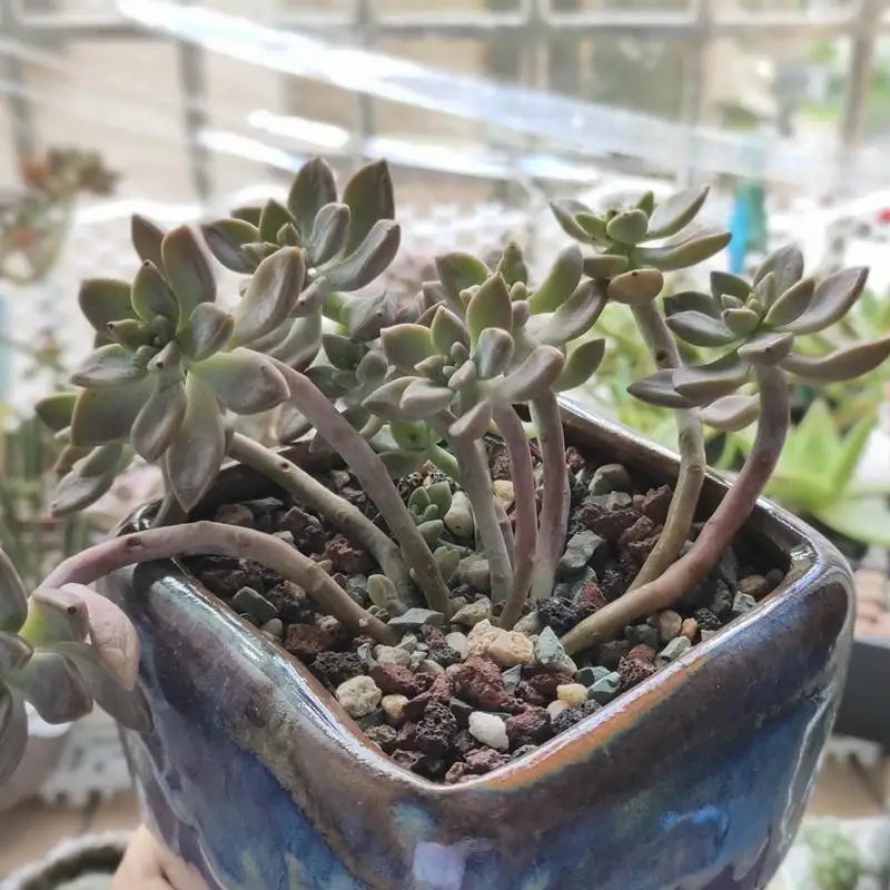 Karwei zeil met duurzame coating