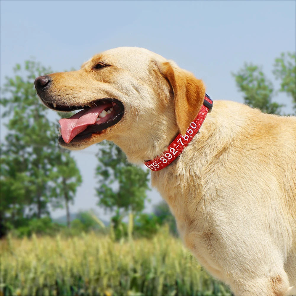 Cadeau hond puppy verjaardag – Zacht, veilig en leuk