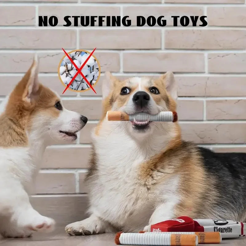 Cadeau voor hond en baas β Samen genieten