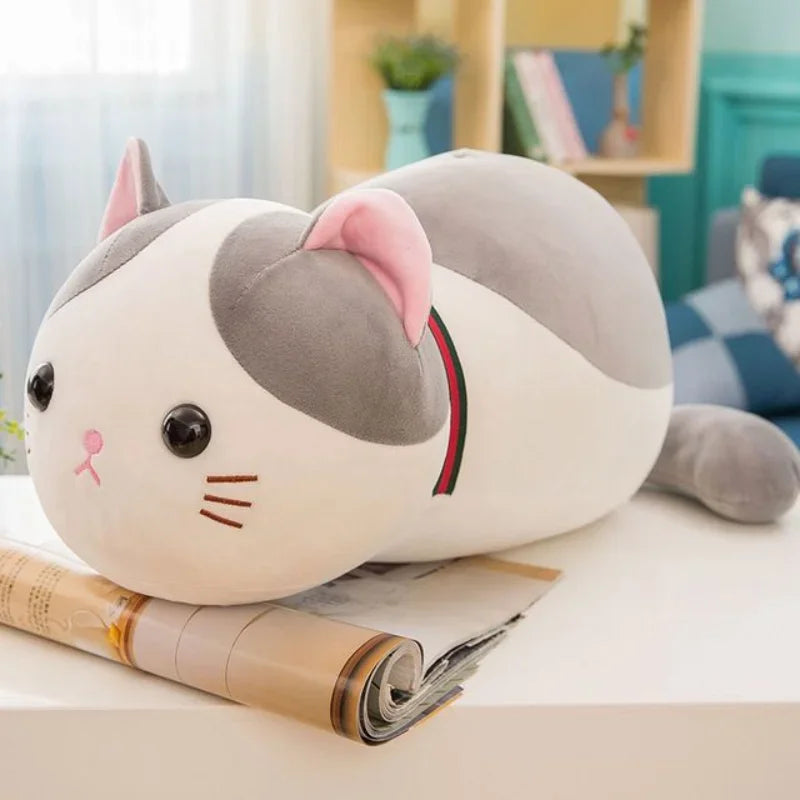 Katten speeltjes met catnip en veer β Dubbel plezier