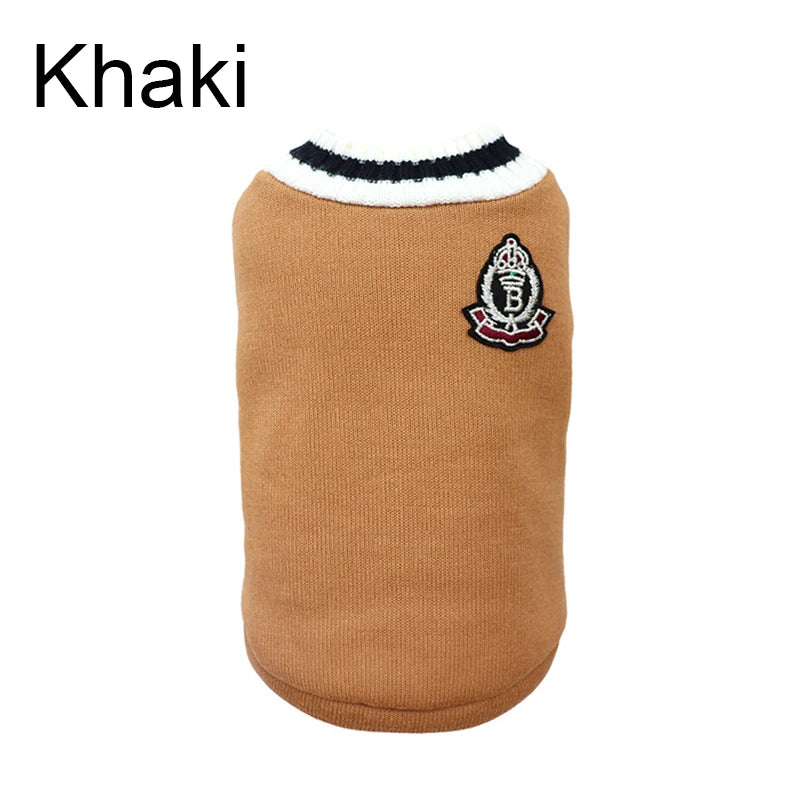 Verjaardagsverrassing hond – Vol lekkers en liefde