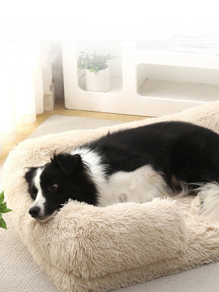 Luxe hondenmand met memory foam – Voor ultieme ontspanning