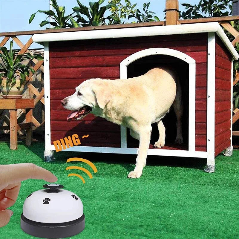 Cadeau hond verjaardag met ballonnen – Feestelijk gebaar