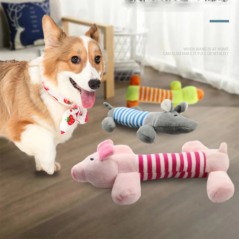 Luxe honden cadeau β Stijlvol en bijzonder