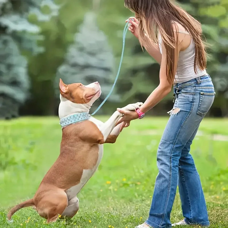 Anti-trek tuigje voor honden – Meer controle tijdens wandelingen