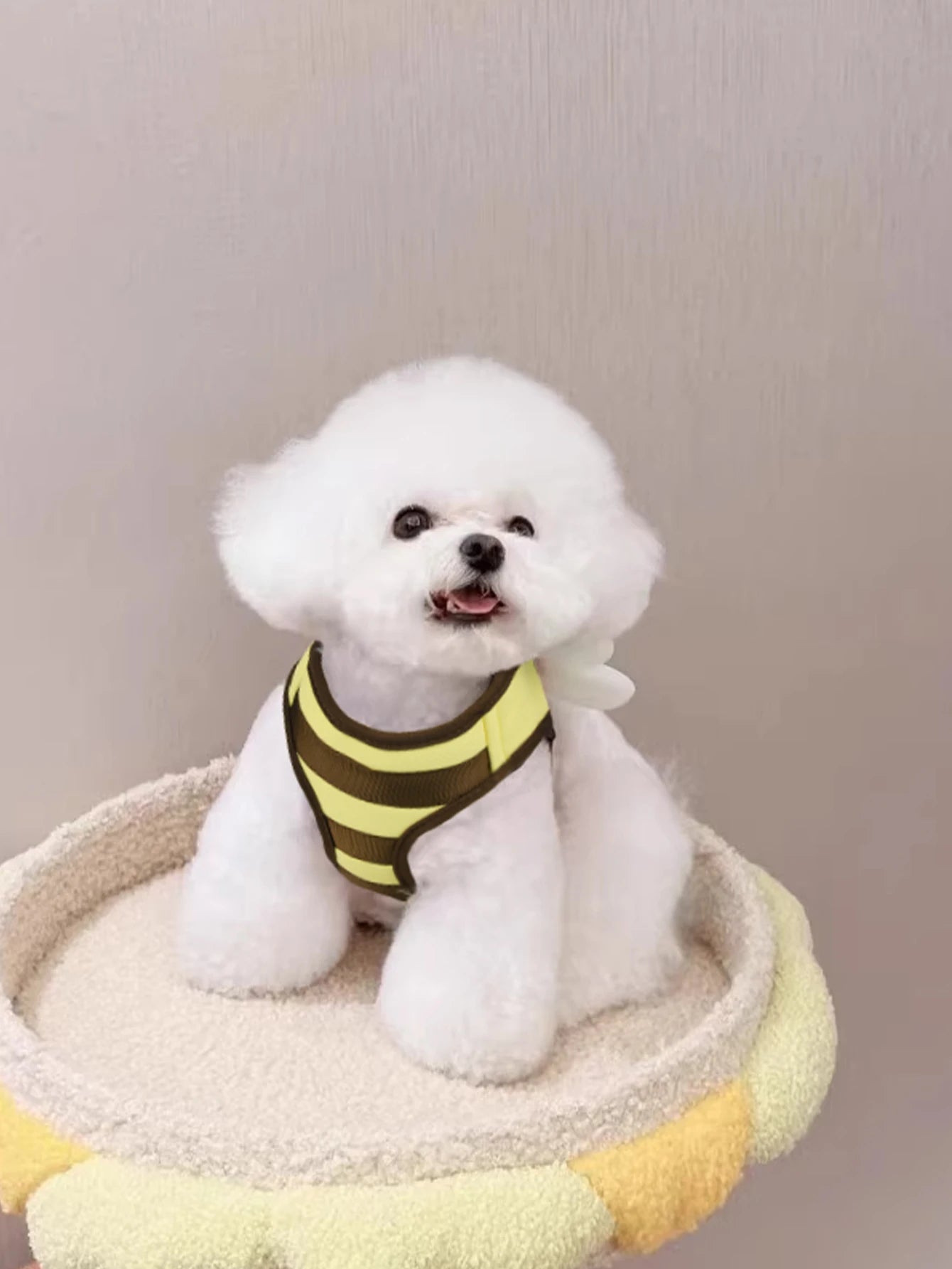 Tuigje met zachte padding – Voor gevoelige honden