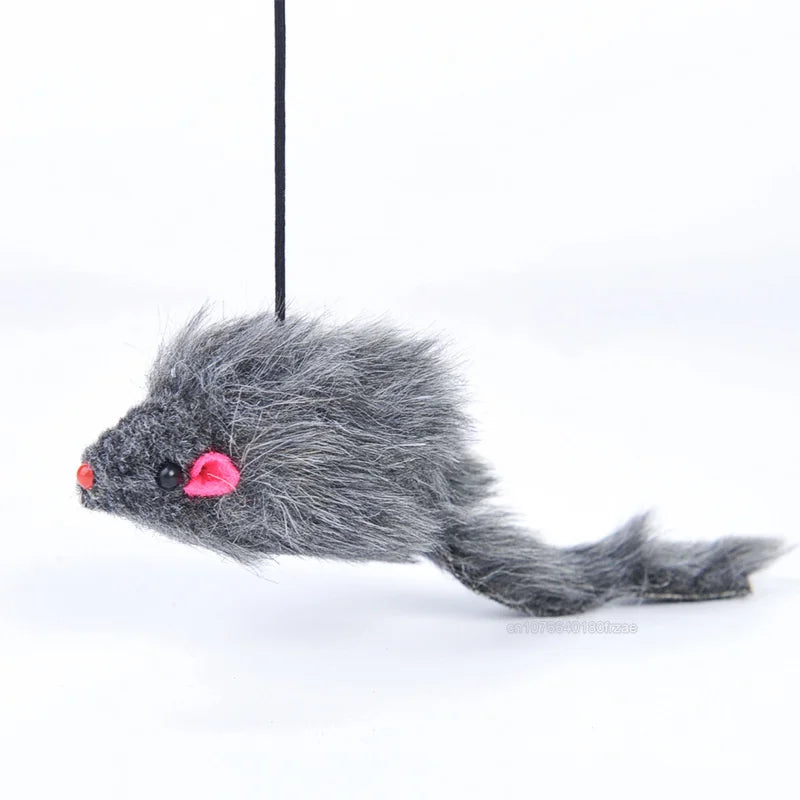 Kattenspeeltjes met elastische band β Voor extra actie