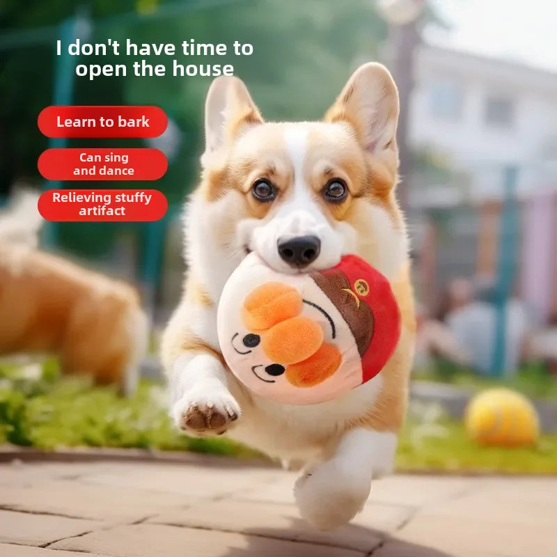 Cadeautip hond – Iets leuks voor elke pup