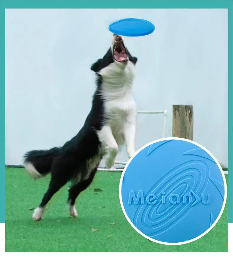 Cadeau voor hond en baas – Samen genieten