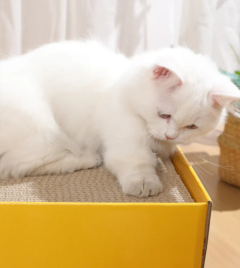 Grote kattenmand met orthopedische vulling β Voor senior katten