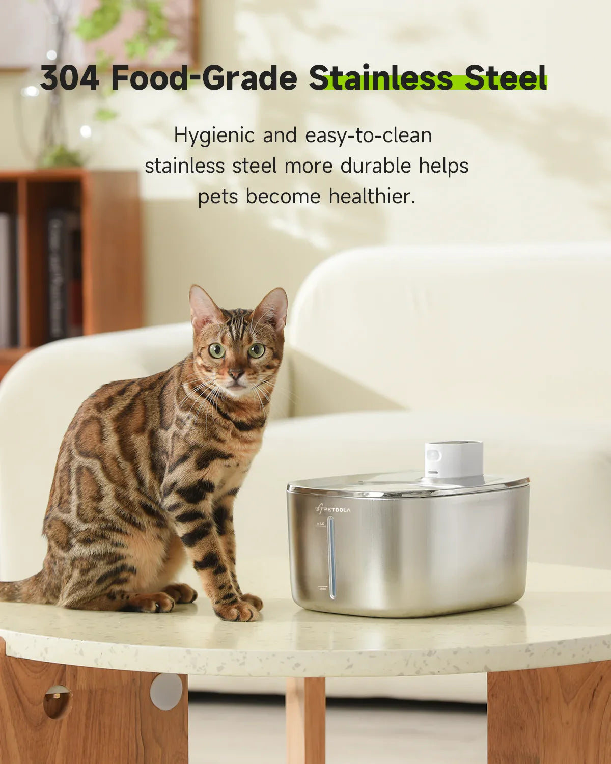 Waterfonteintje voor katten – Klein en functioneel
