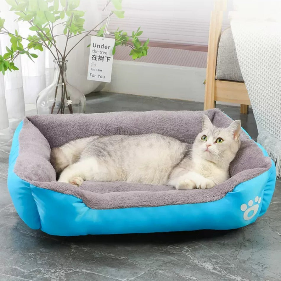 kattenhuis