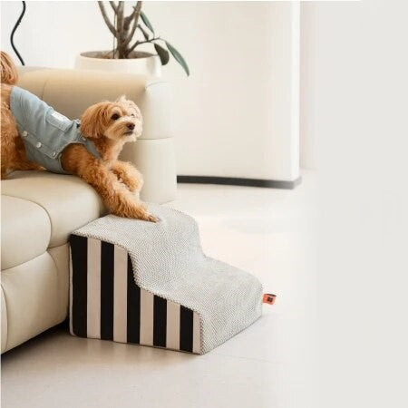 loopplank-hond