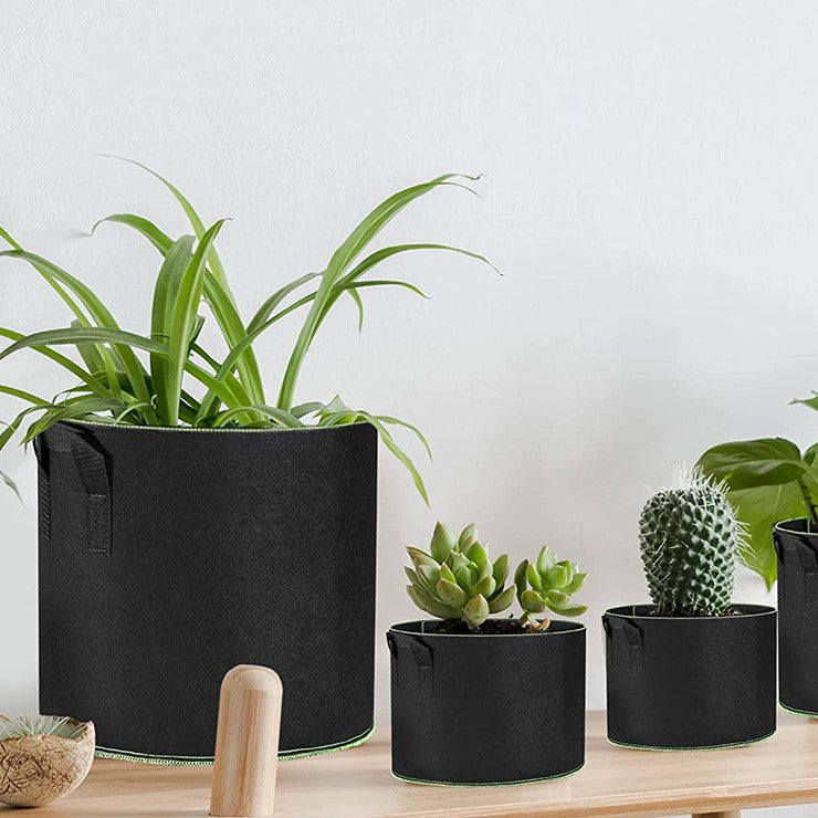 moestuin