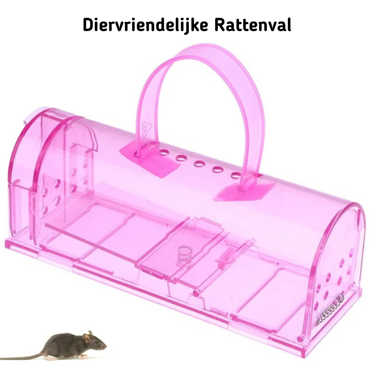 rattenval-kopen