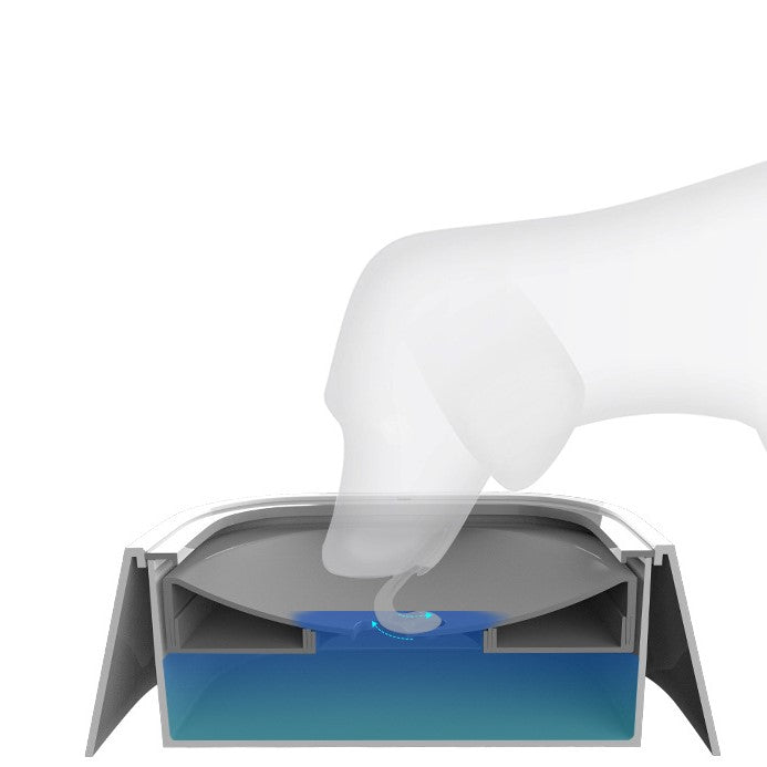 water-dispenser