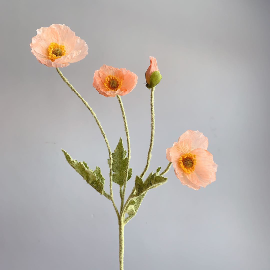 zijden-bloem