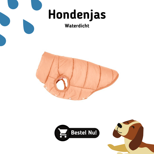 Dierenkleding