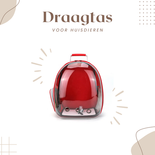 draagtas-kat