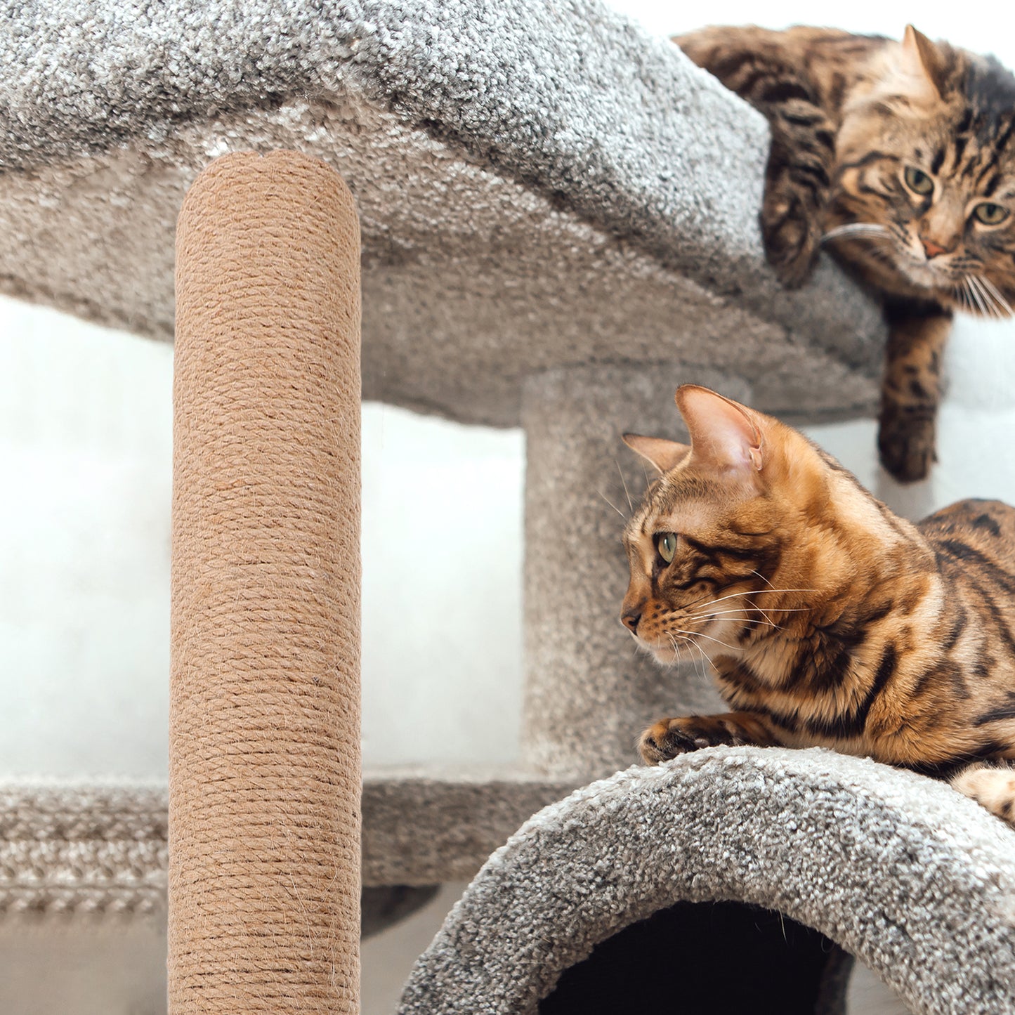 Kattenpaal met wandmontage set – Extra stevig vastgemaakt