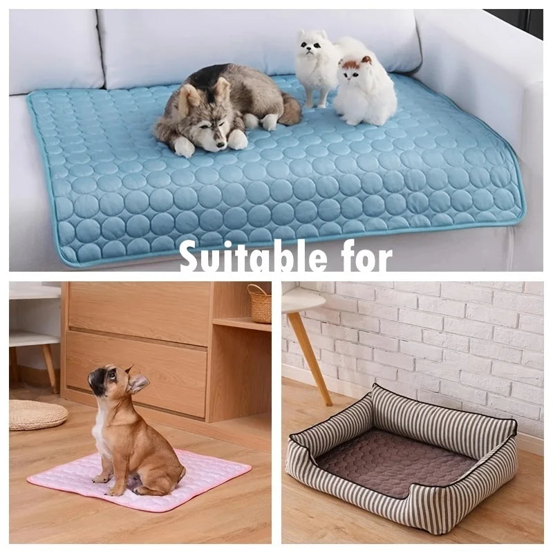 Cadeau hond verjaardag DIY – Creatief en leuk