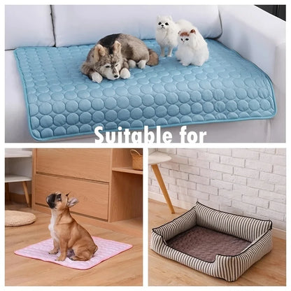 Cadeau hond verjaardag DIY – Creatief en leuk