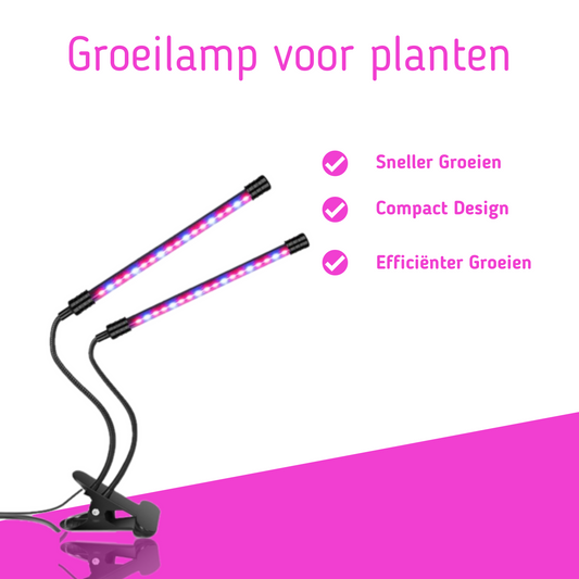 Groeilamp-plant