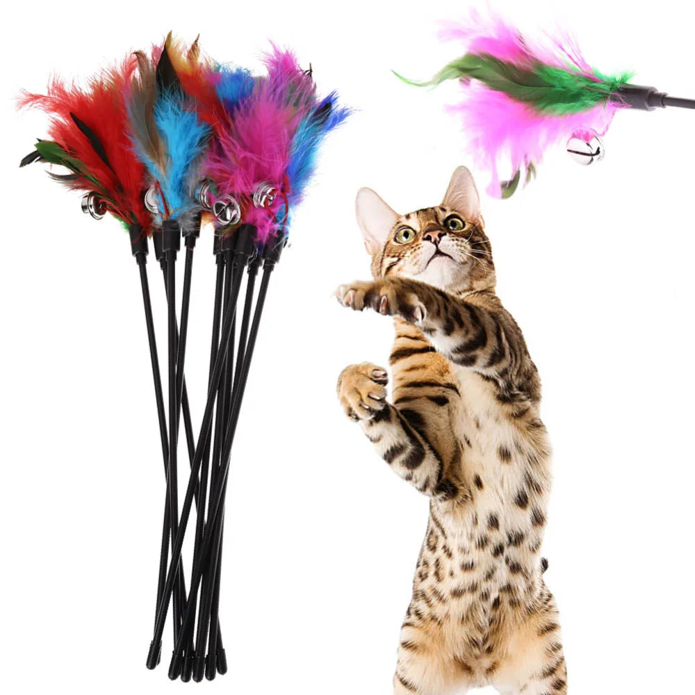 Kattenspeelgoed met sensor – Reageert op aanraking