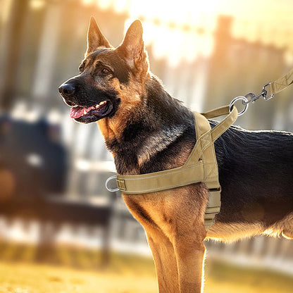 Action hondentuigje maat L – Voor grote honden