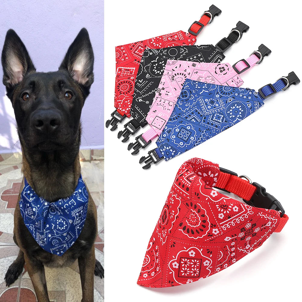 Cadeau hond speeltouw – Voor eindeloos plezier