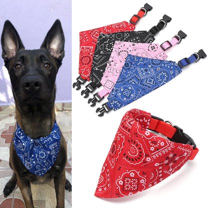 Cadeau hond speeltouw – Voor eindeloos plezier