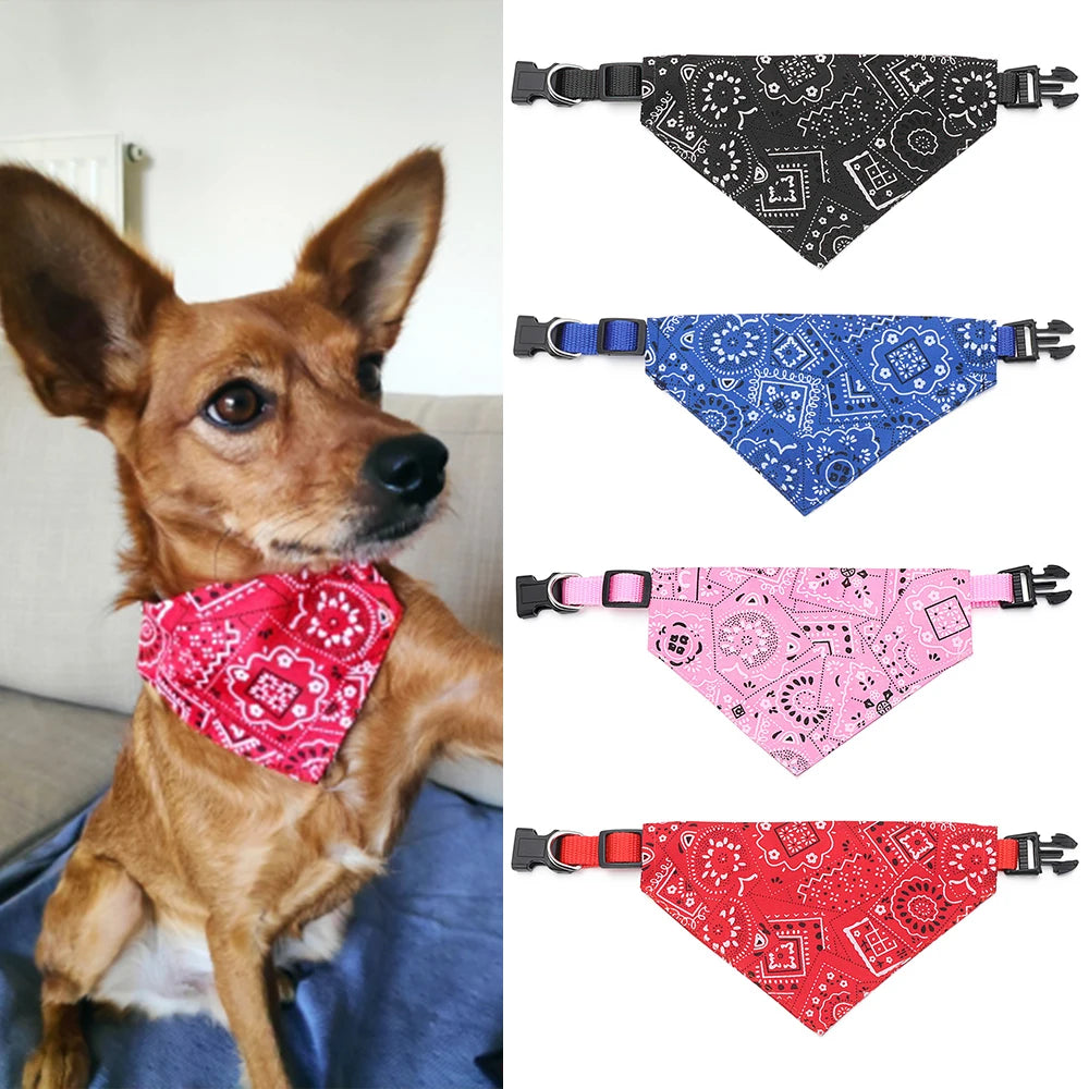 Snack cadeau voor hond verjaardag – Smakelijke verwennerij