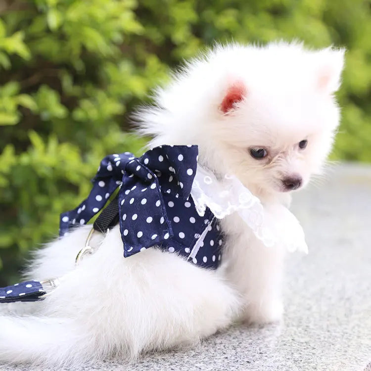 Honden tuigje met padding – Extra comfort voor de hond