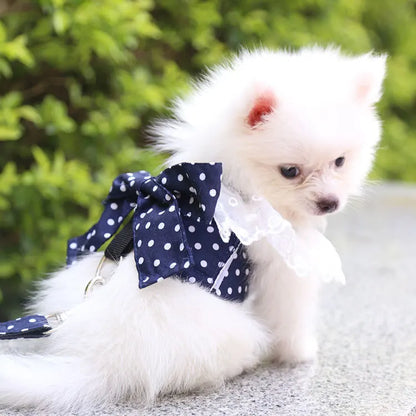 Honden tuigje met padding – Extra comfort voor de hond