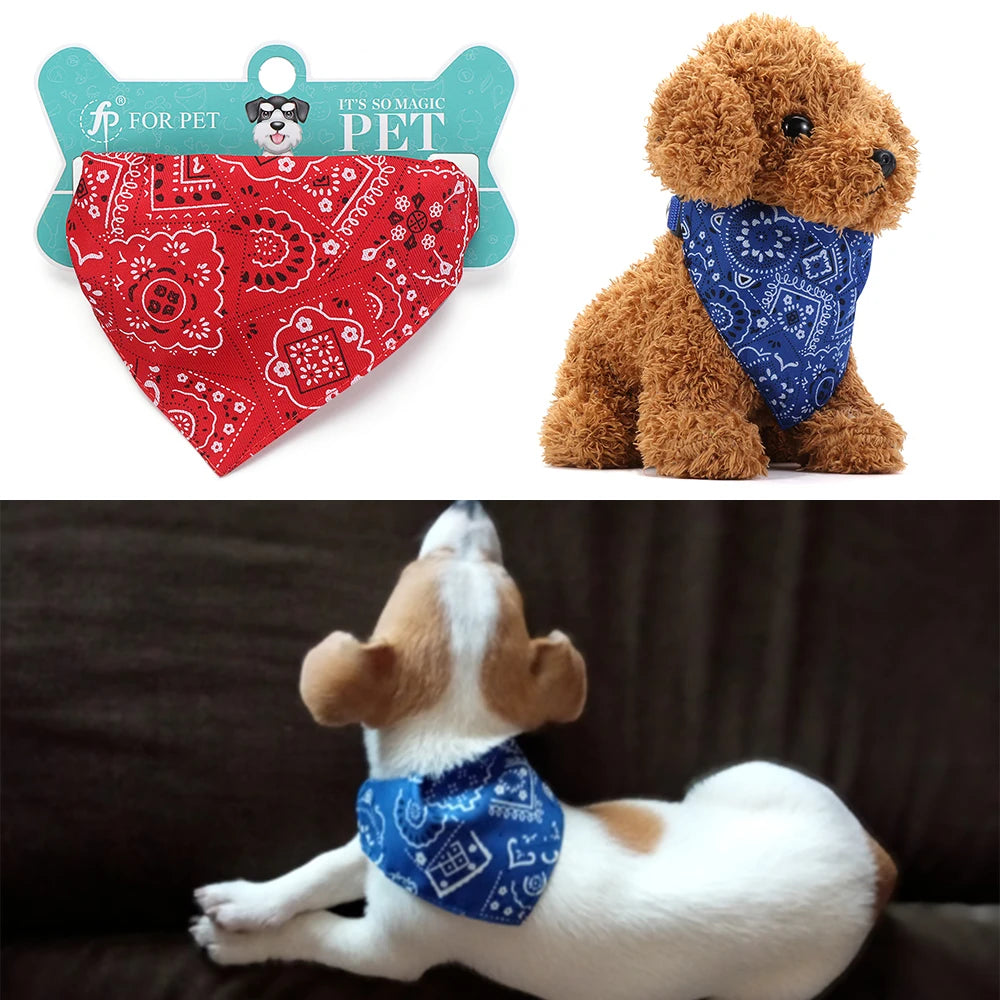 Cadeautje hond met kluif – Klassieker voor de feestdag