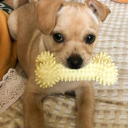 Luxe honden cadeau – Stijlvol en bijzonder