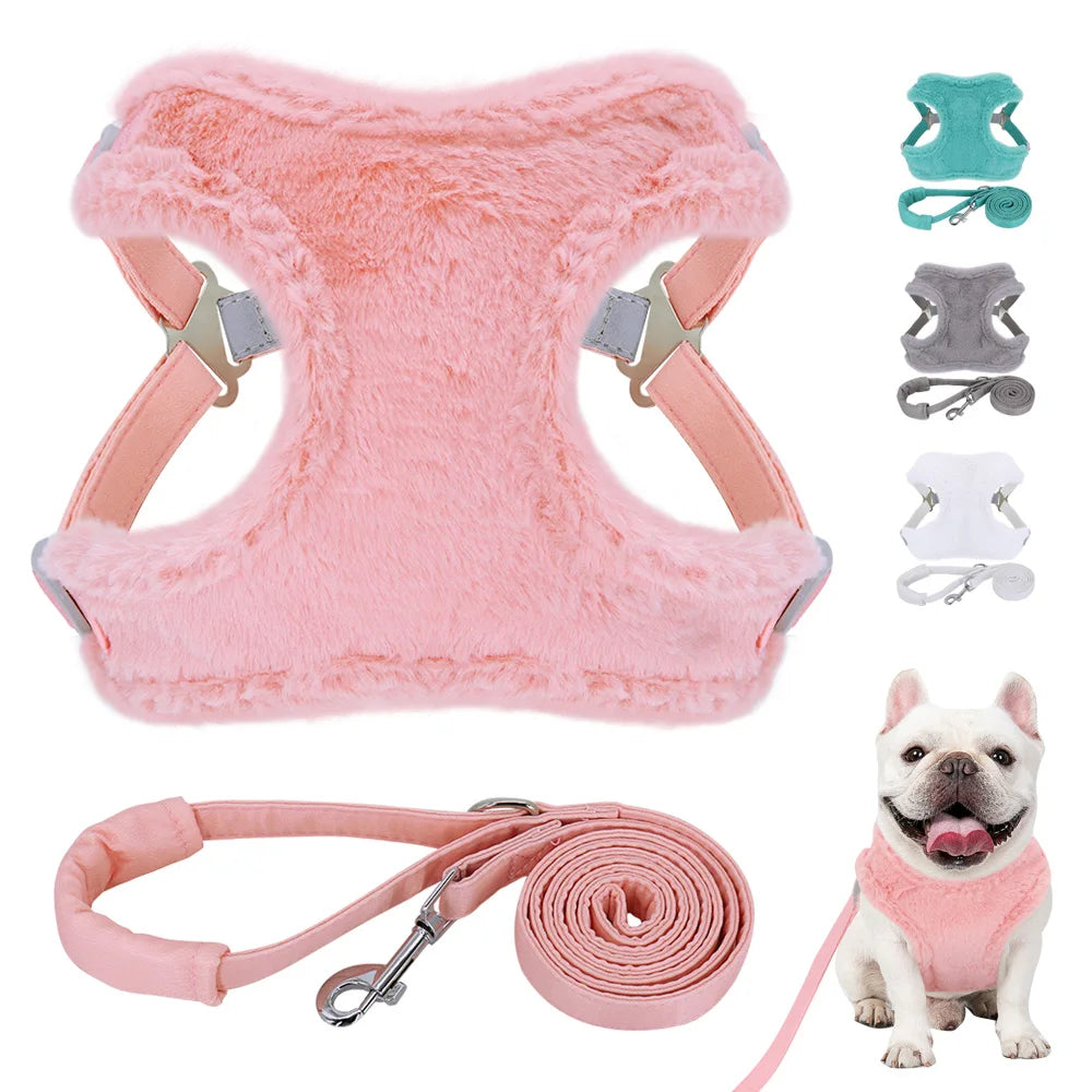 Tuigje voor hond met stijlvolle look – Praktisch en mooi
