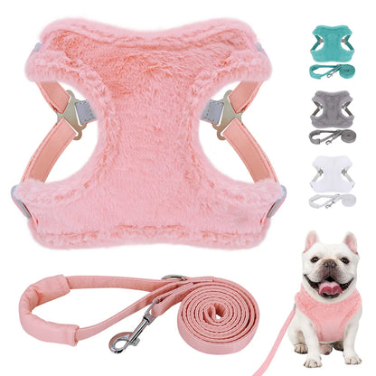 Tuigje voor hond met stijlvolle look – Praktisch en mooi