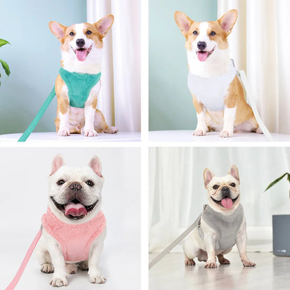 Action honden tuigje voor dagelijks gebruik – Comfortabel wandelen