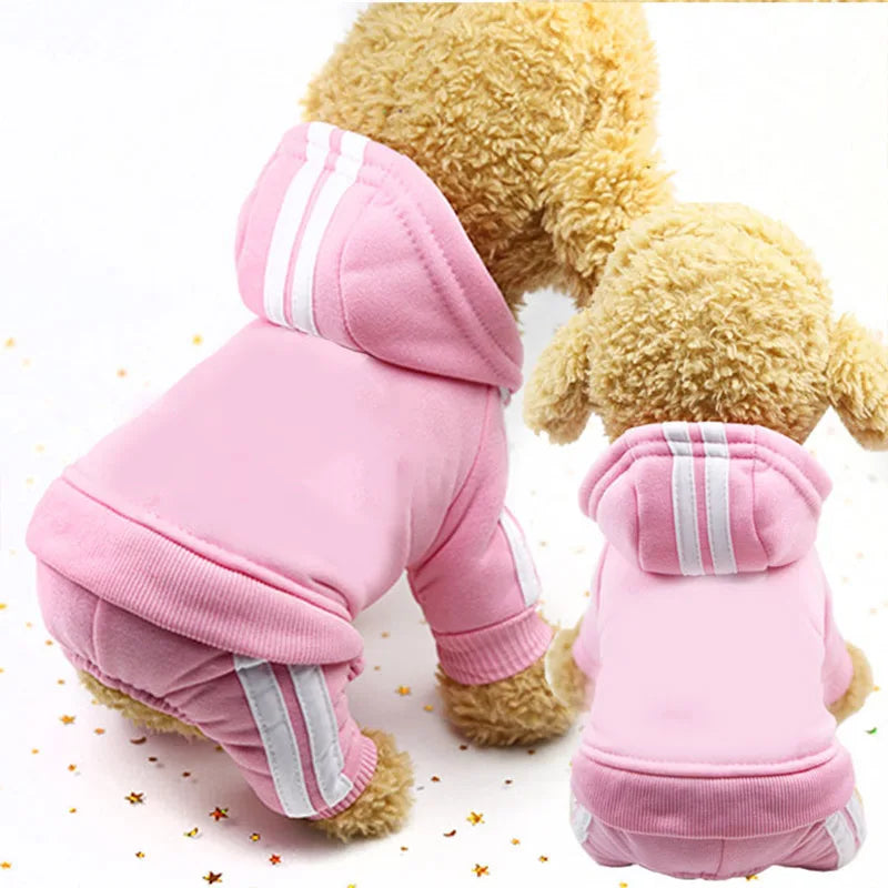 Cadeau hond verjaardag compleet – Van snacks tot speeltjes