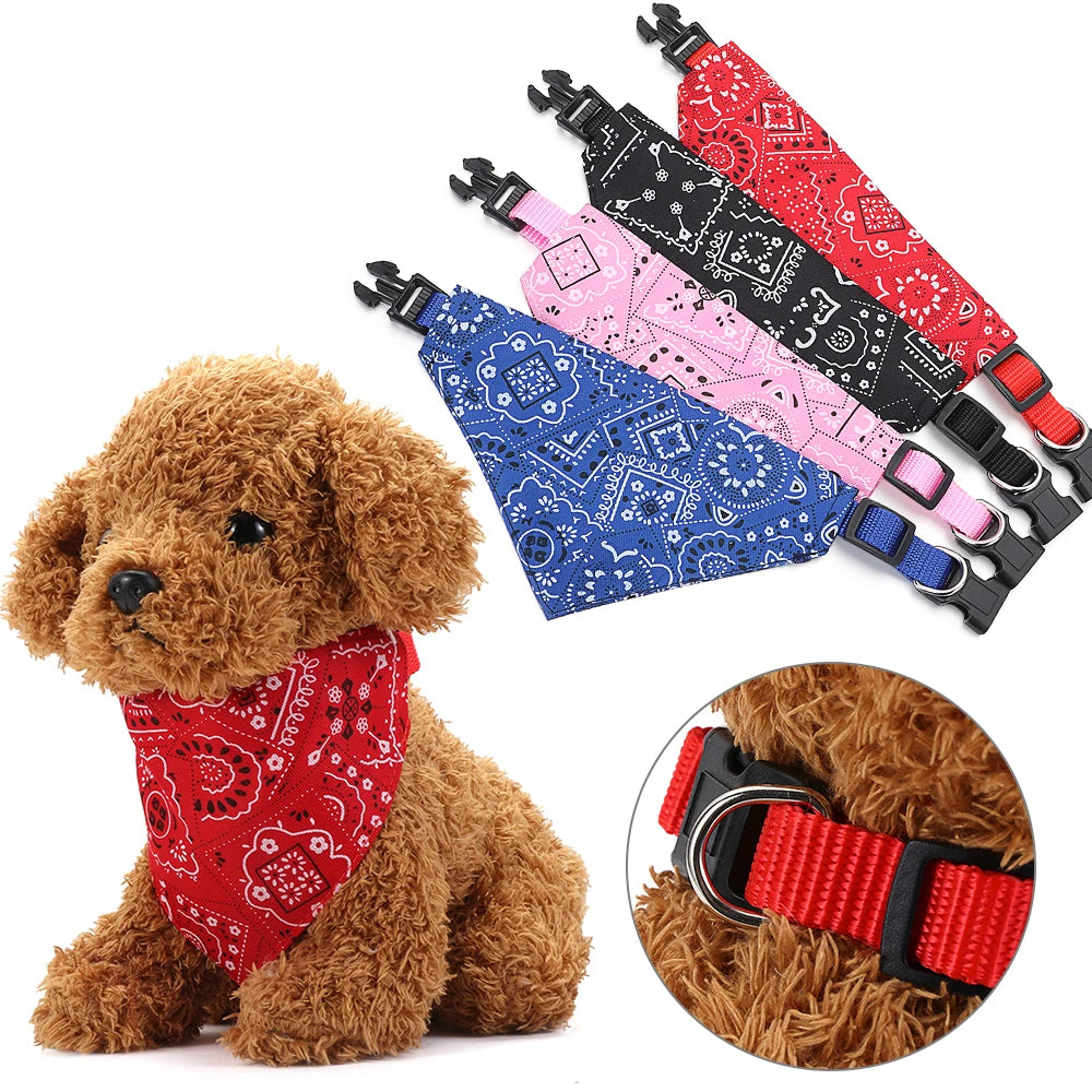 Luxe cadeau hond en baas – Genieten in stijl