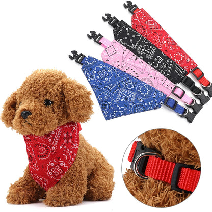 Luxe cadeau hond en baas – Genieten in stijl