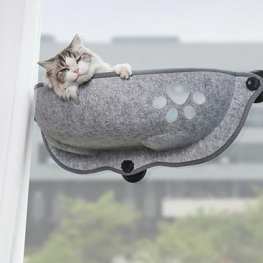 Kattenmand met hoge randen – Voor extra privacy