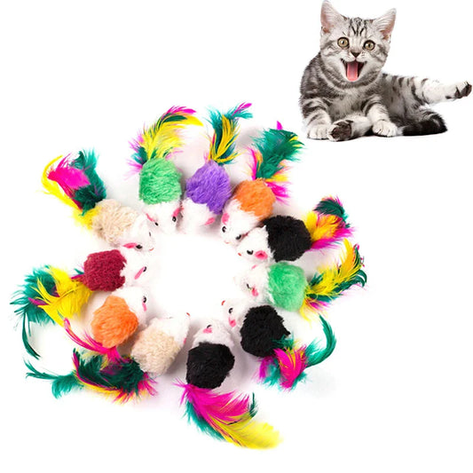 Action katten speeltjes set – Vol variatie