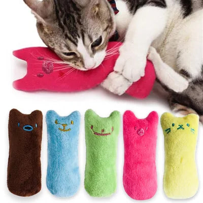 Cadeau hond verjaardagset – Compleet met feestmuts