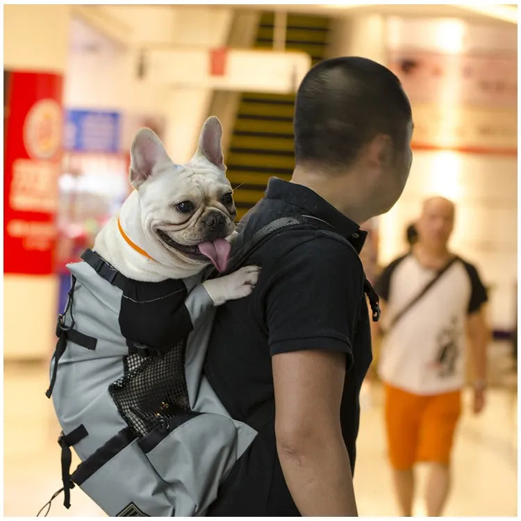 Hondentas met zachte rand – Geen irritatie voor je hond